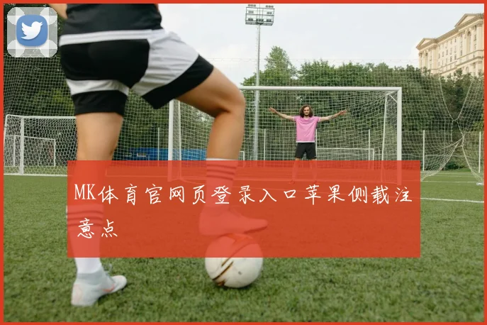 MK体育官网页登录入口苹果侧载注意点