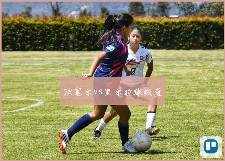 欧塞尔vs里尔控球较量